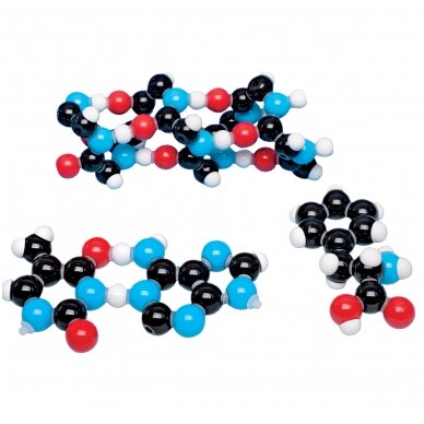 Biochemijos rinkinys, molymod® 2