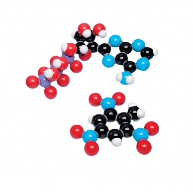 Biochemijos rinkinys, molymod® 3