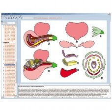 Gėlių ir vaisių biologija, CD diskas