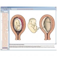 Gyvūnų embriologija ir raida, CD diskas