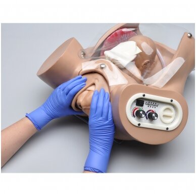 3B Scientific 1020333 Birthing Simulator PRO