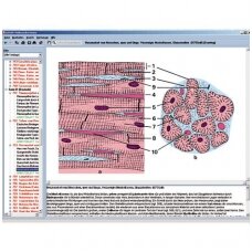 Žmogaus ir žinduolių histologija, CD diskas